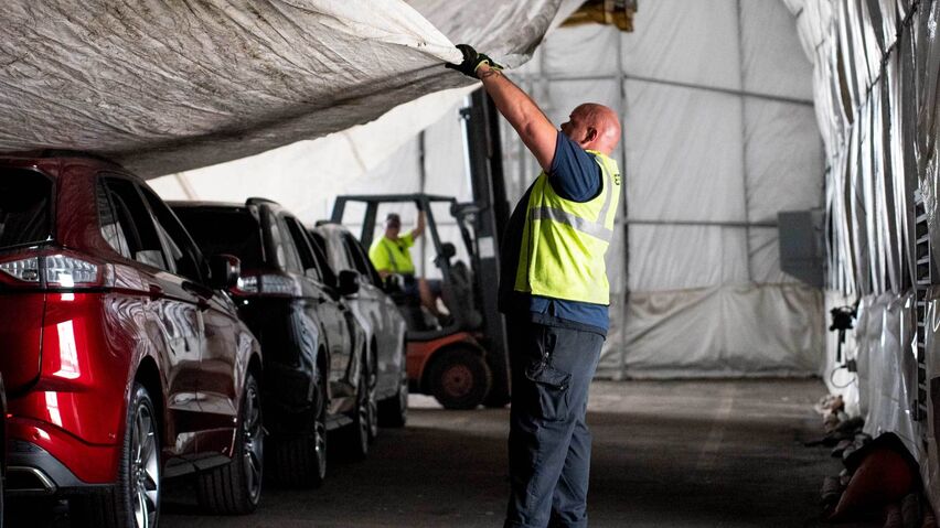 Stink bug global facilities 4