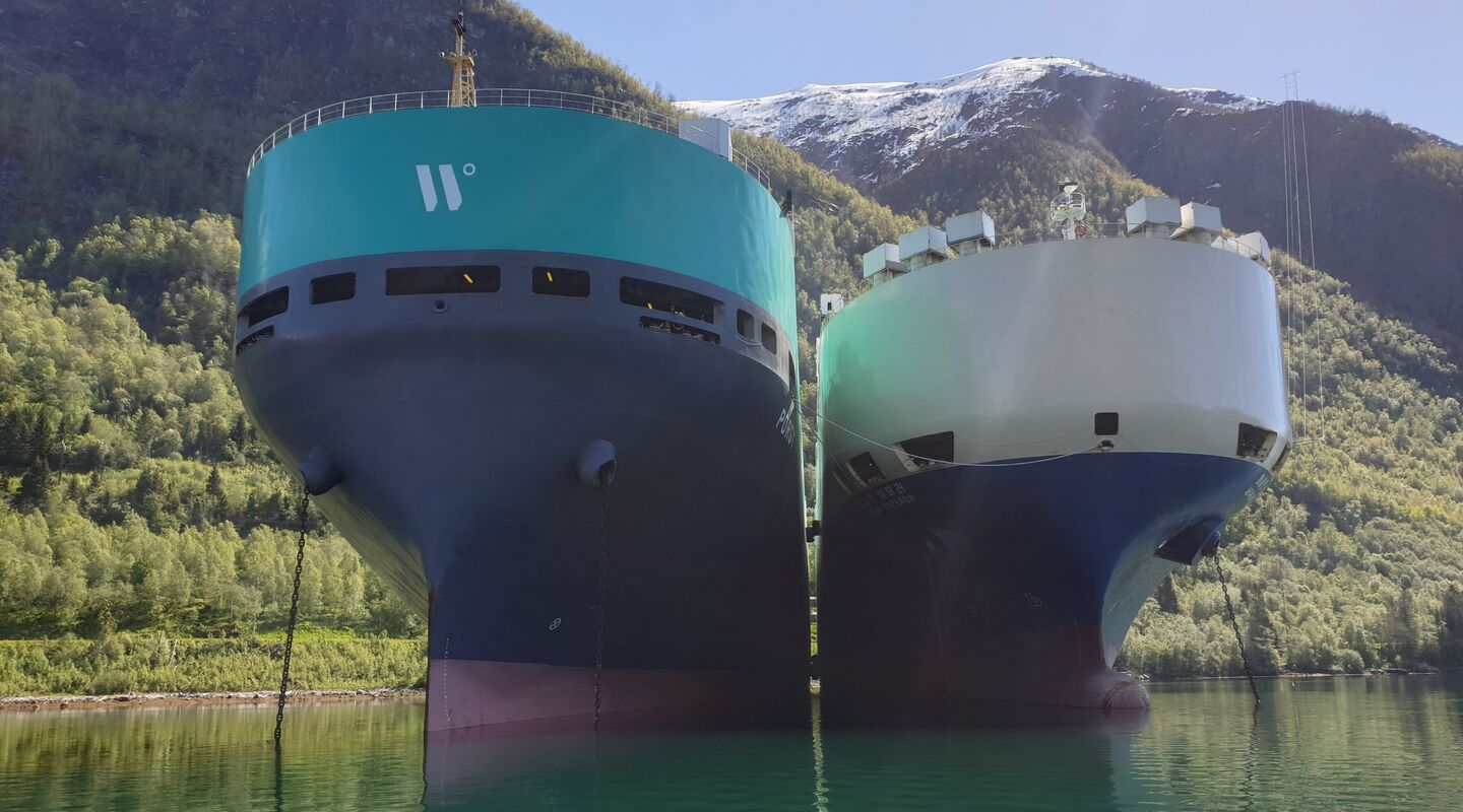 Vessels in cold lay-up Vessels in cold lay-up