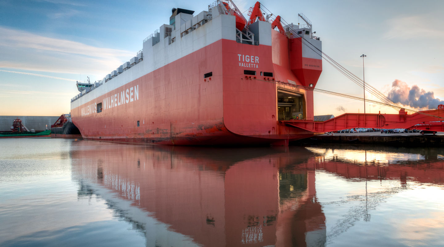 Reduce cost and risks with Roro Reduce cost and risks with Roro