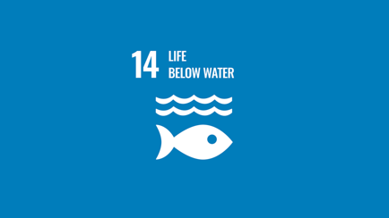 SDG 14 16 9 SDG 14 16 9