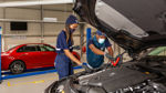 Technical services in South Africa