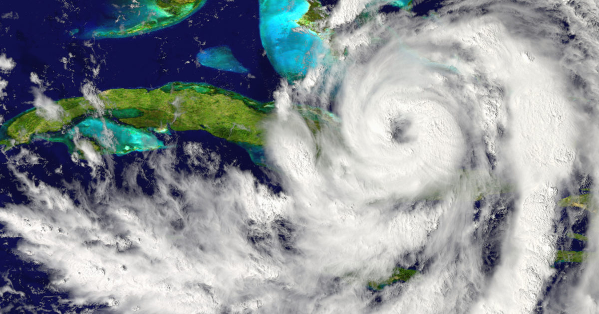 How to handle a hurricane - Wallenius Wilhelmsen